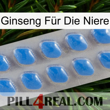 Ginseng Für Die Niere 22